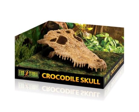 Croc Skull Repile Terrarium Decor