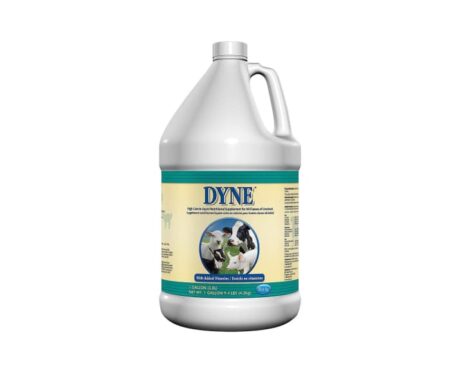 Dyne High Calorie Liquid Livestock Supplement
